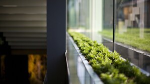 A window with a view of a building and a green plant in a window box. - Hotel ZENA beauty & shopping center (Hévíz)