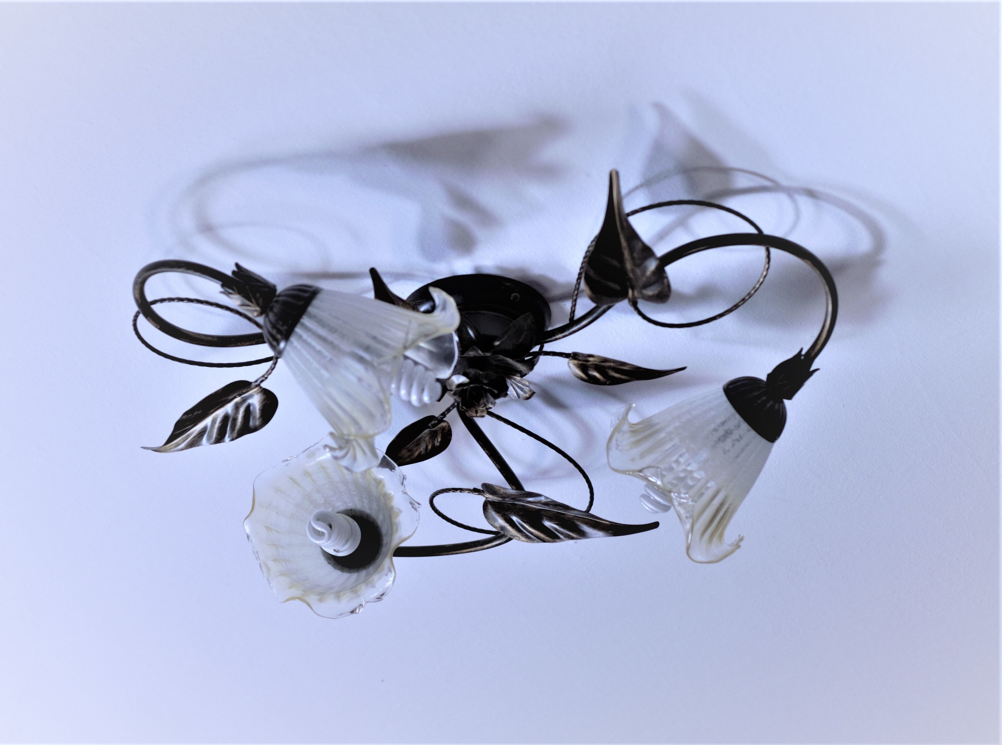 Foto - B&B Selvarossa