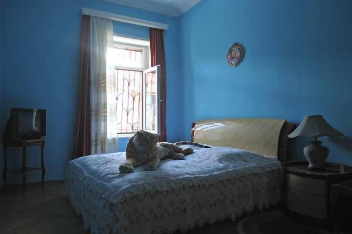 A bedroom with a bed, a window with curtains, a bedside table with a lamp, and a television on a stand.