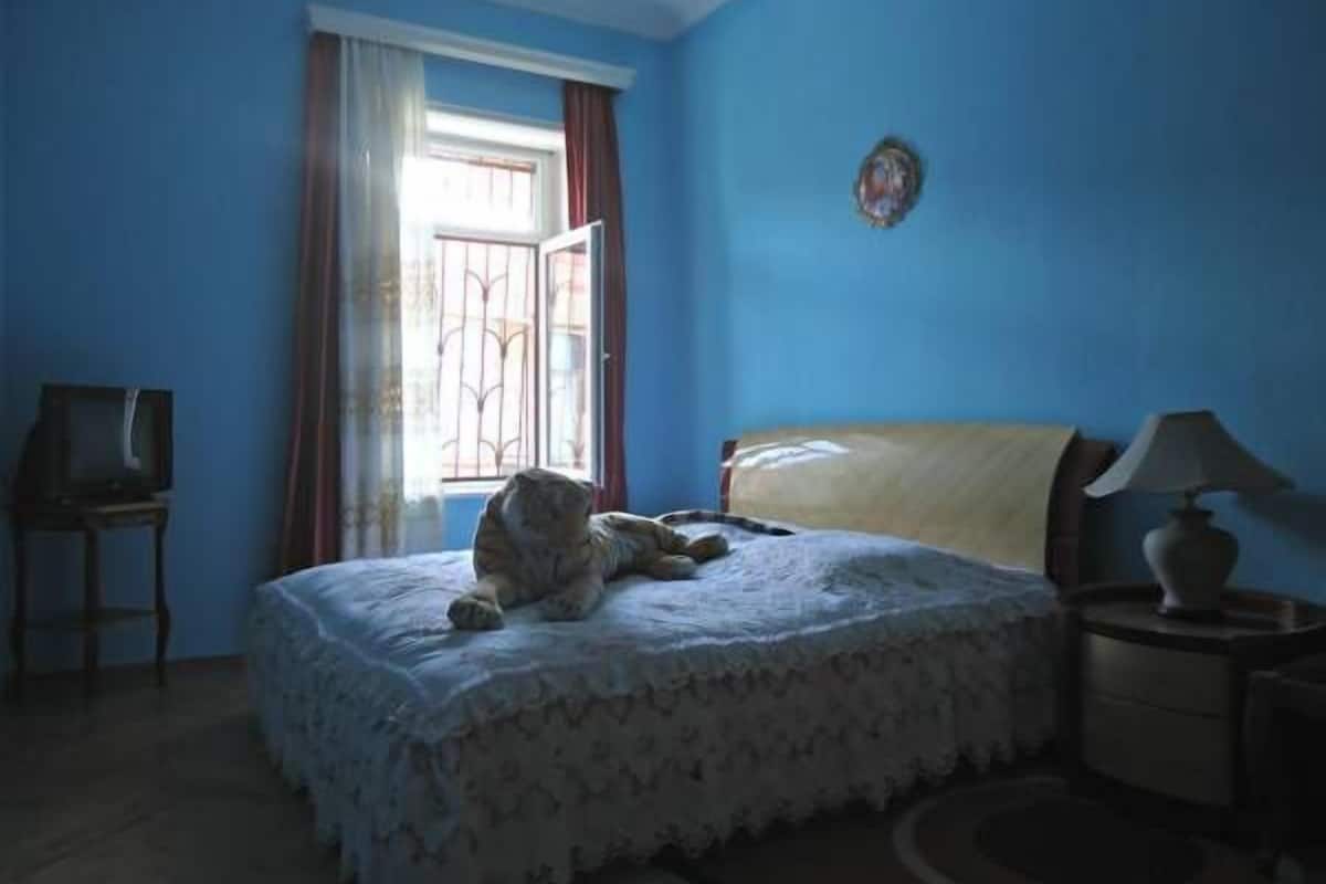 Chambre Classique Double ou avec lits jumeaux, plusieurs lits, vue ville | Fer et planche Ă repasser, Wi-Fi gratuit, draps fournis