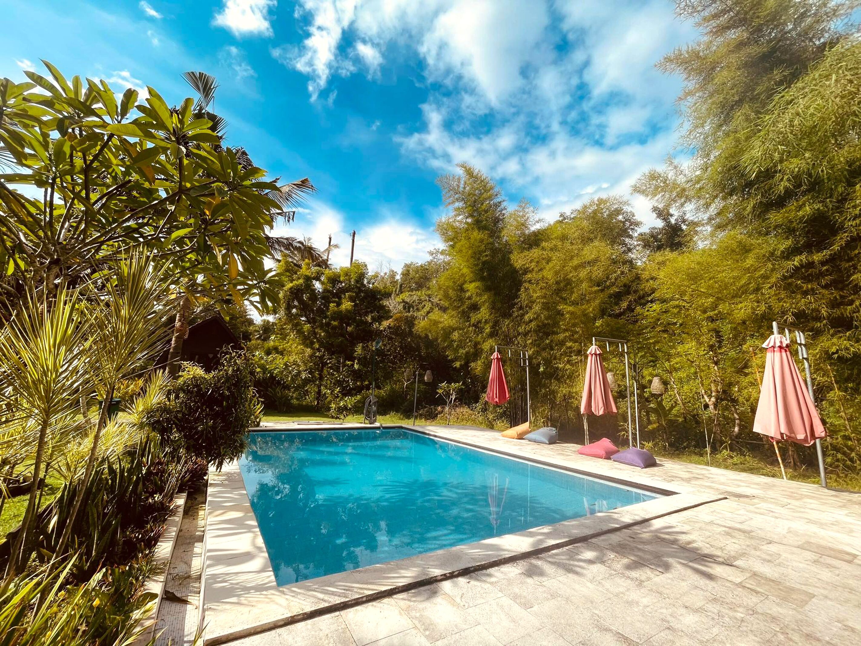 Una piscina rectangular con plataforma azulejada, rodeada de abundante vegetación y árboles.