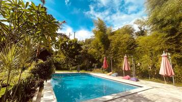 Una piscina rectangular con plataforma azulejada, rodeada de abundante vegetación y árboles.