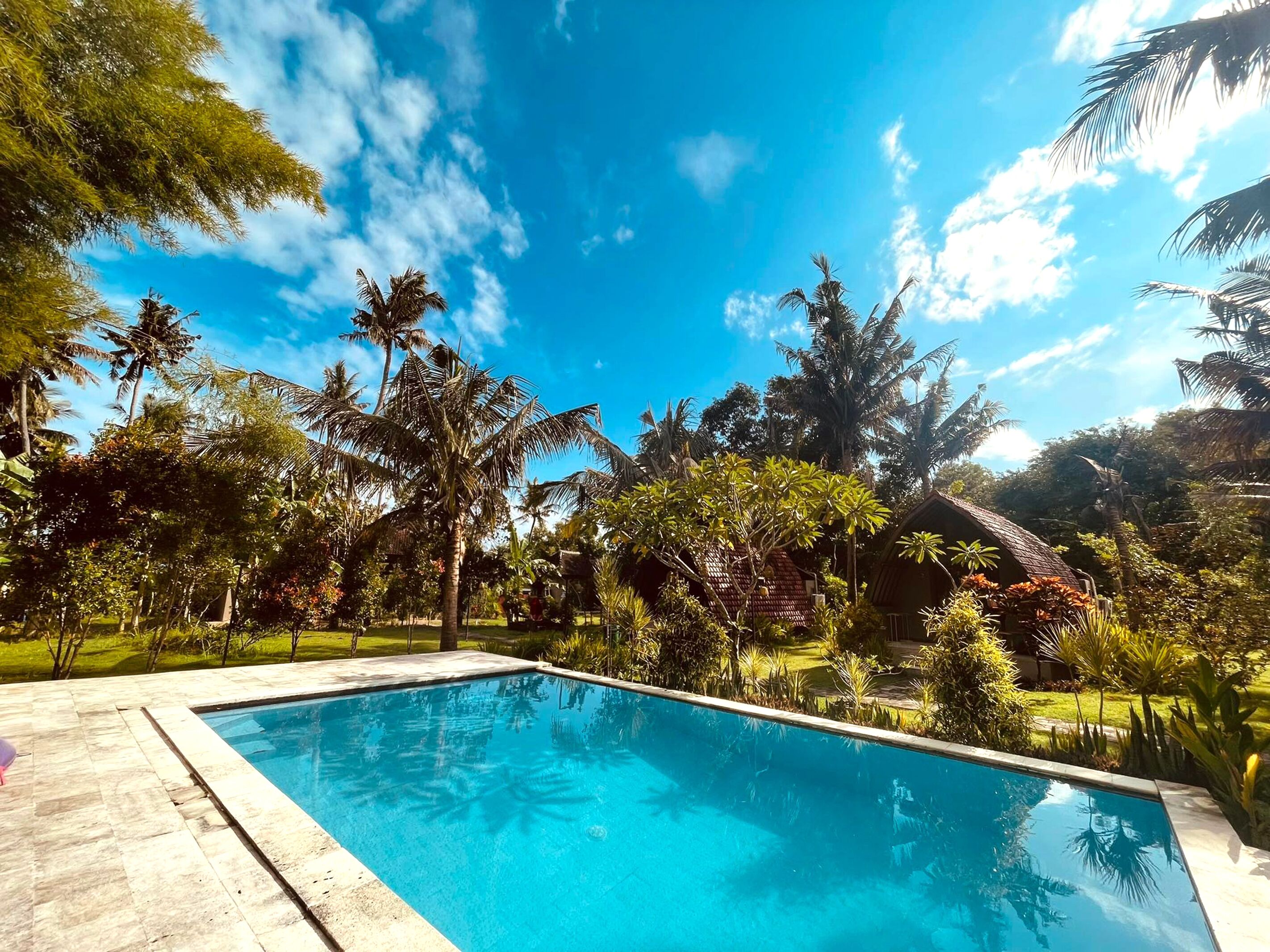 Piscine extérieure, chaises longues