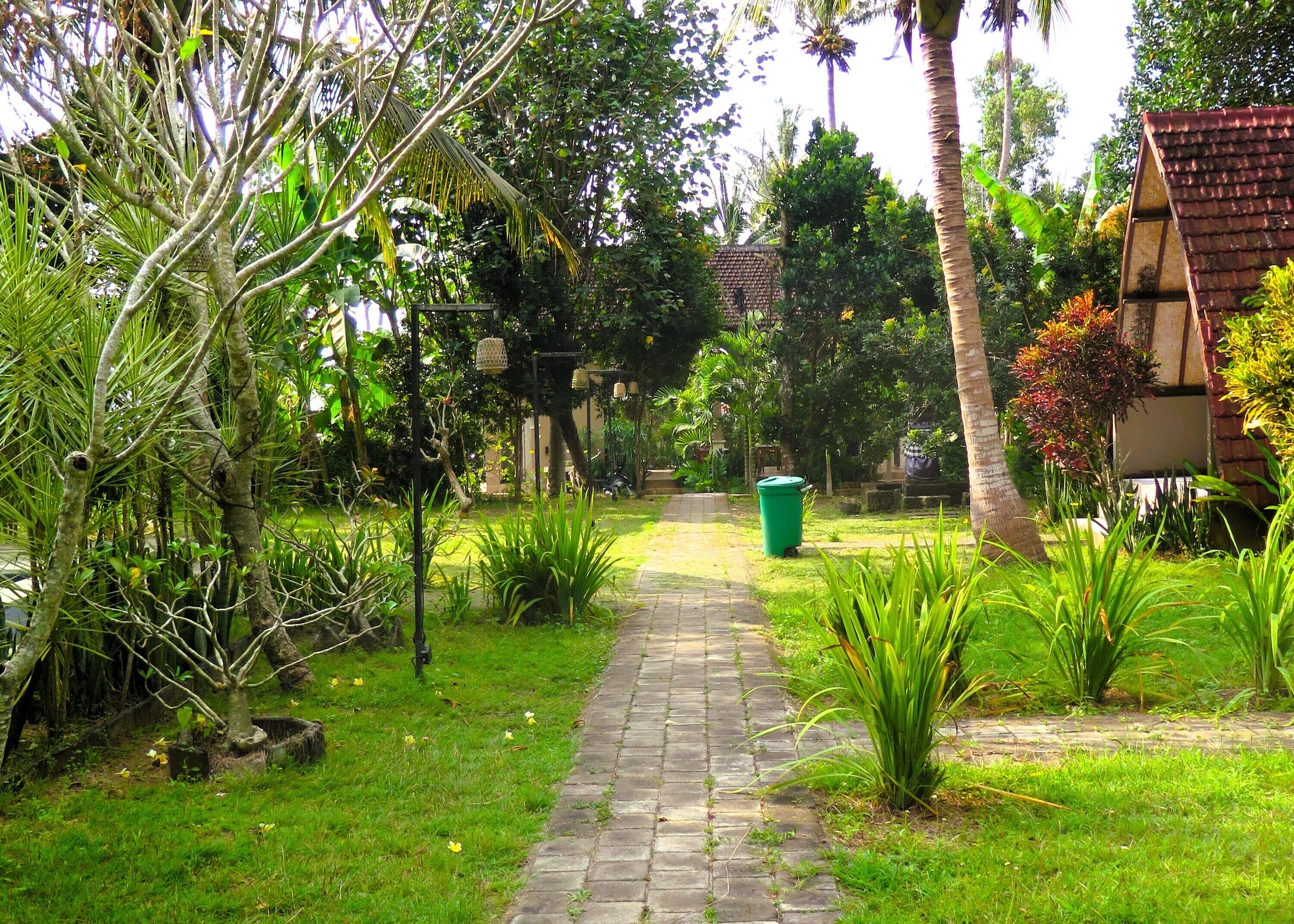 A garden pathway leading to a building with a tiled roof, surrounded by lush greenery and palm trees.