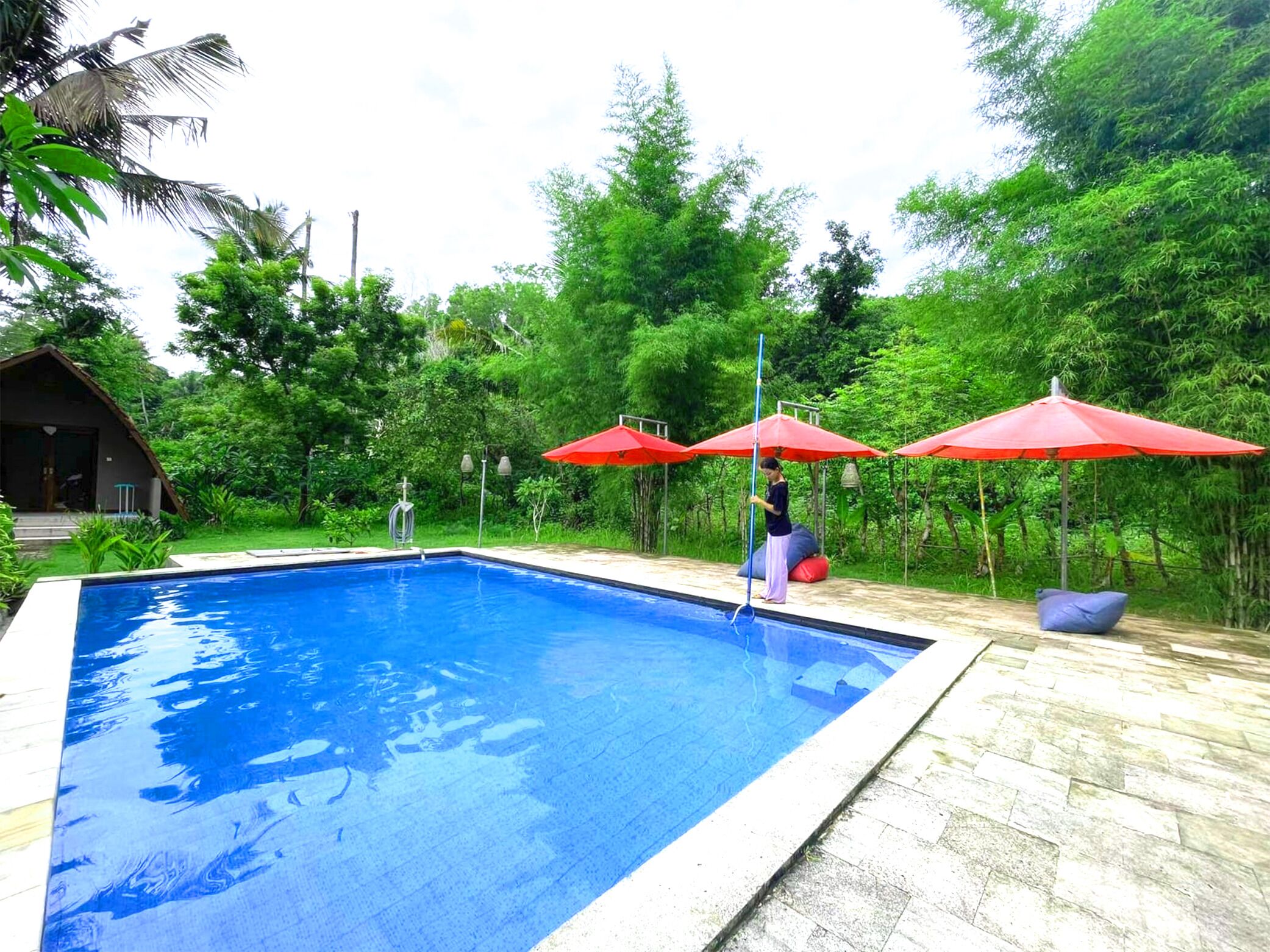 A swimming pool with red umbrellas, surrounded by lush greenery and a wooden deck.