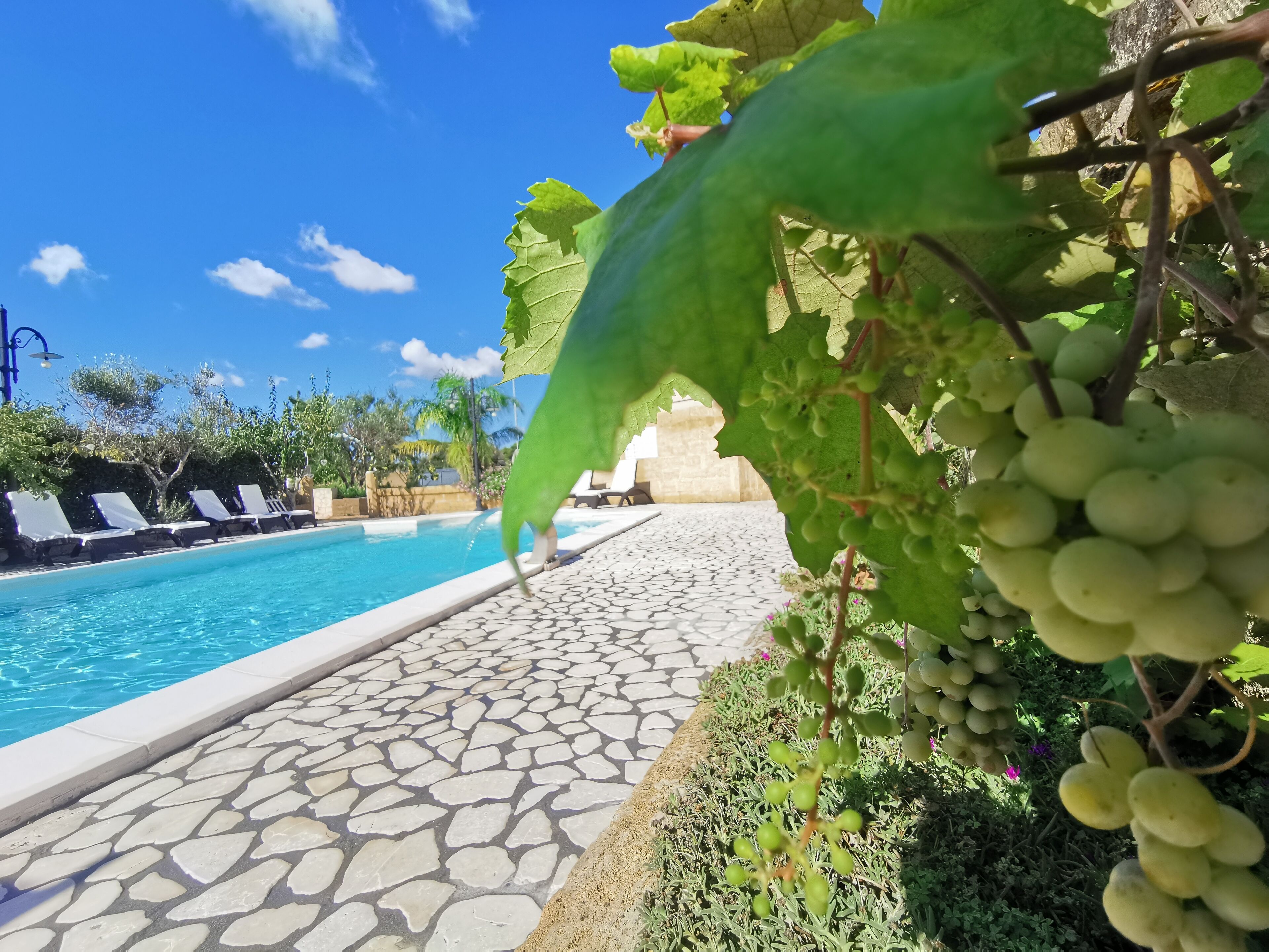 Una piscina al aire libre, una piscina en la azotea, sombrillas