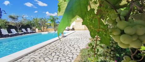 Outdoor pool, a rooftop pool, pool umbrellas, pool loungers