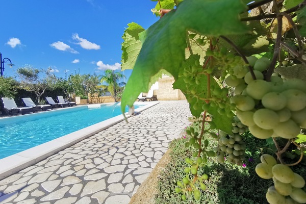 Outdoor pool, a rooftop pool, pool umbrellas, sun loungers