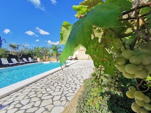 Outdoor pool, a rooftop pool, pool umbrellas, pool loungers - Villa B&B Antiche Macine del Salento (Salve)