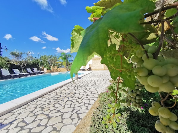 Outdoor pool, a rooftop pool, pool umbrellas, sun loungers - Villa B&B Antiche Macine del Salento (Salve)