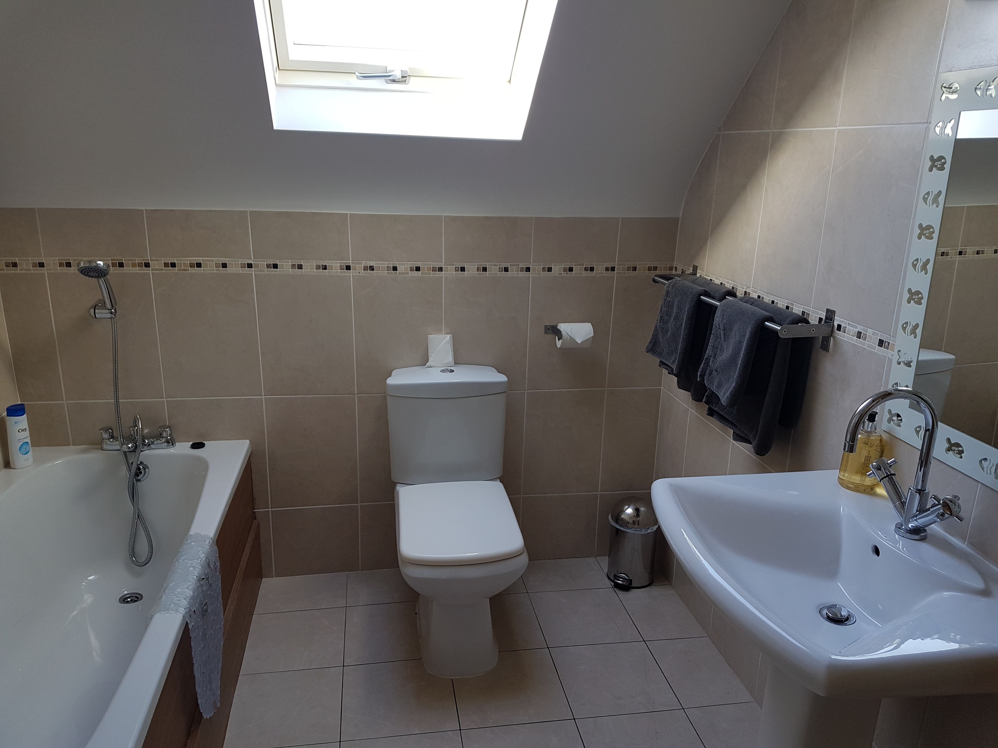 Un baño con tragaluz, bañera, inodoro y lavamanos.