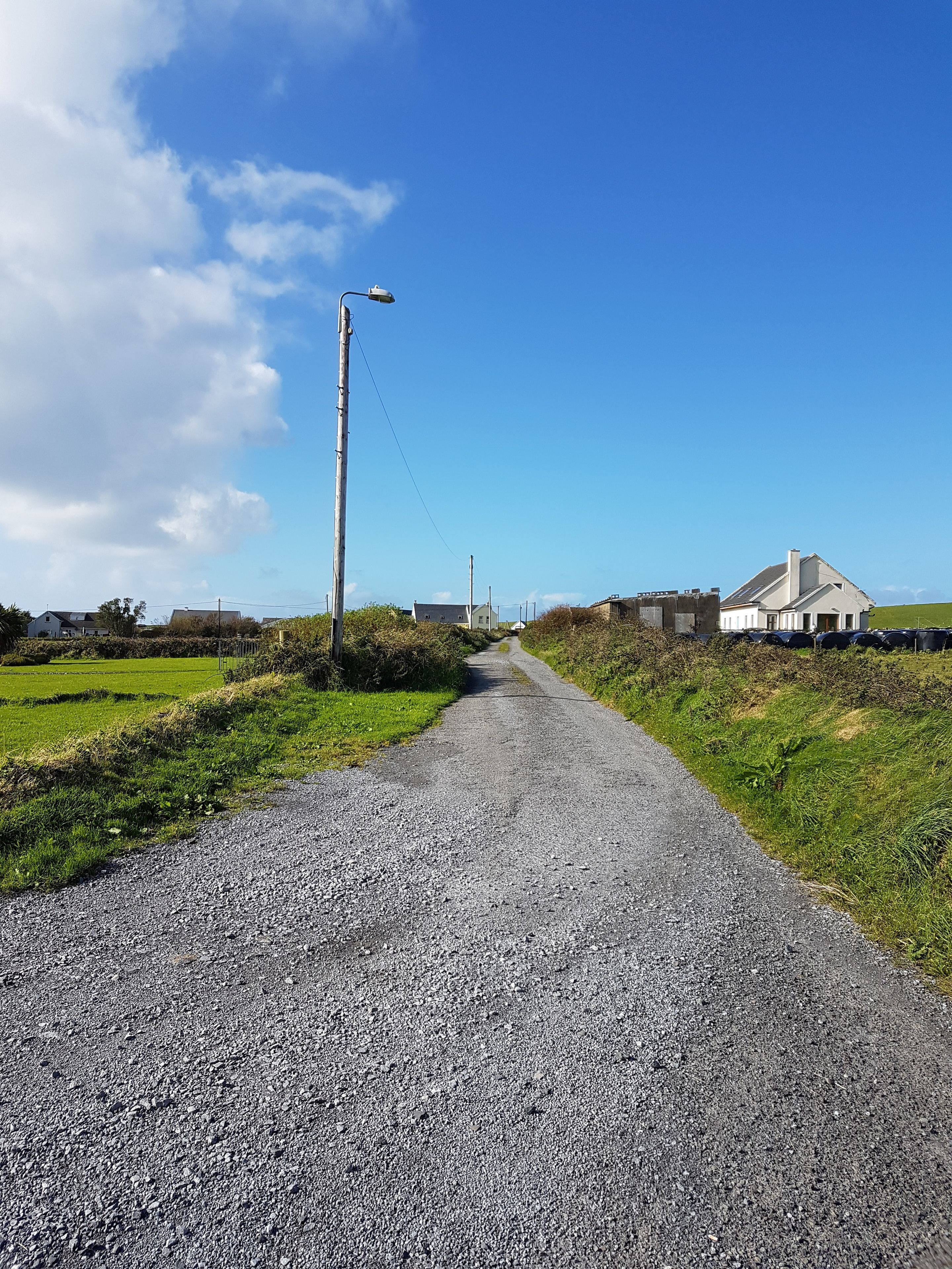 A rural road leading to houses with a clear sky.