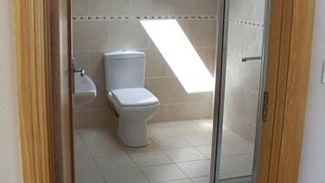 A bathroom with a skylight, a toilet, and a shower area.