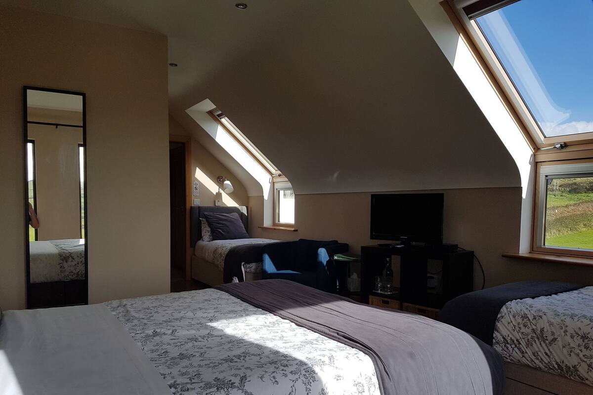 A room with two beds, a TV, and a desk. There are skylights and a large window providing natural light.