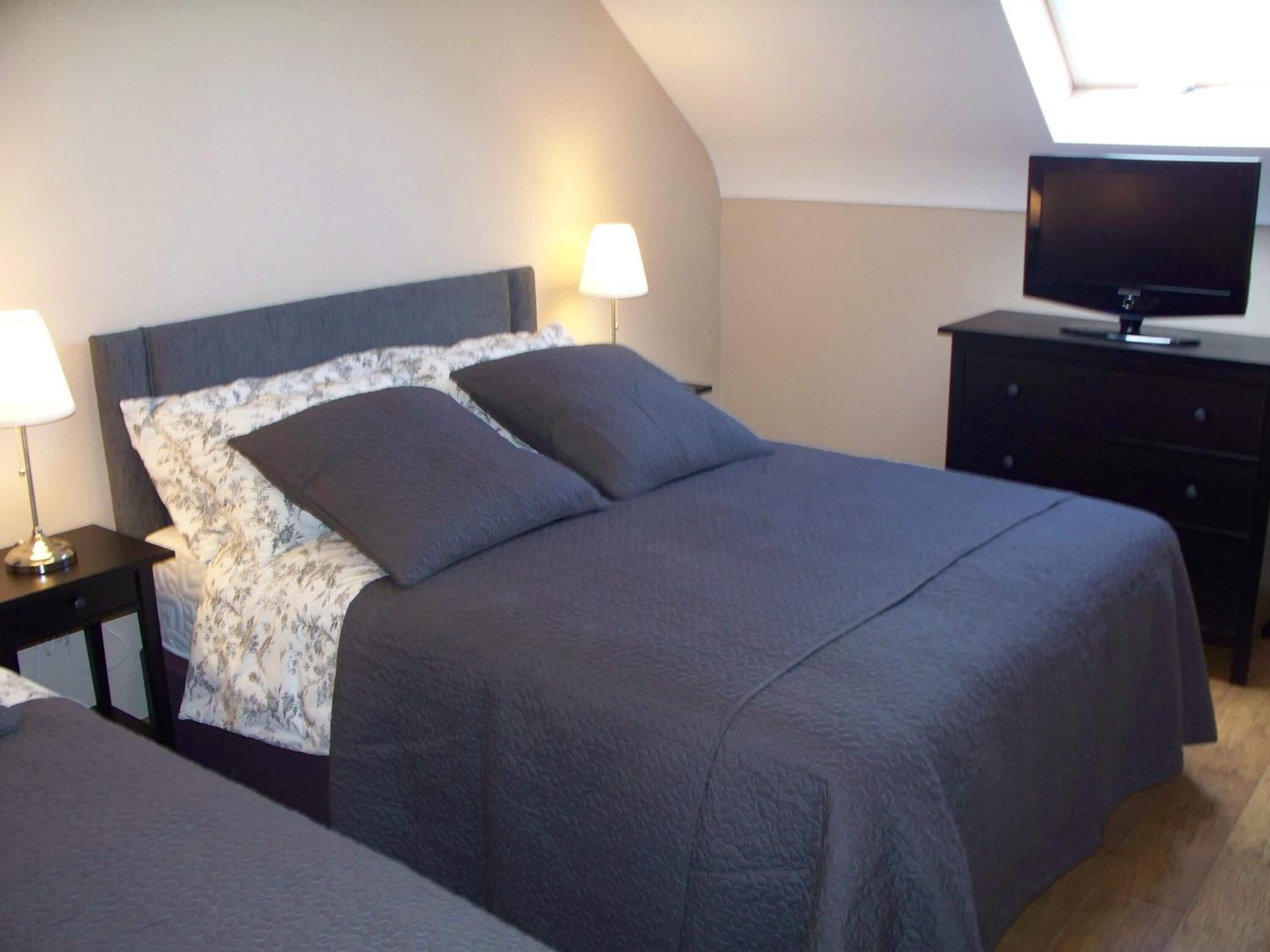 Un dormitorio con una cama, dos mesitas de noche, un televisor y un tragaluz.