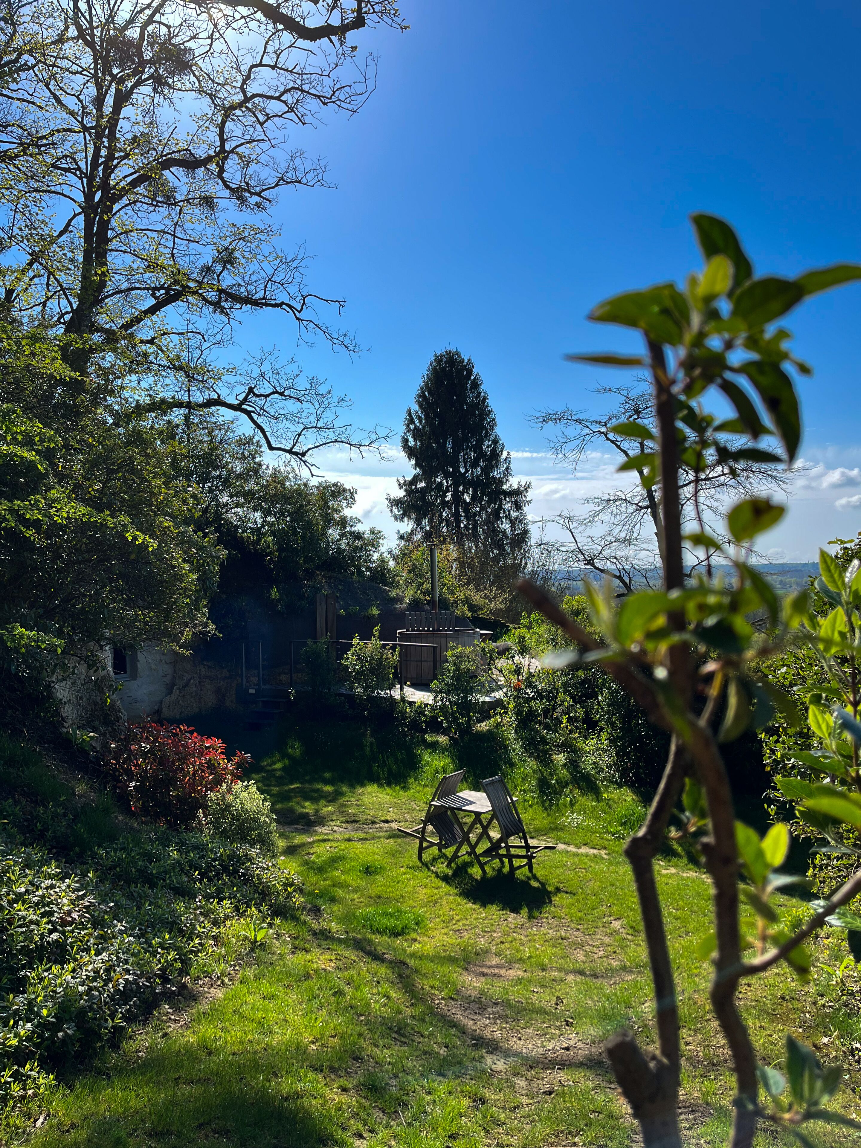 Un jardín con un banco de madera, un muro de piedra y un árbol alto.