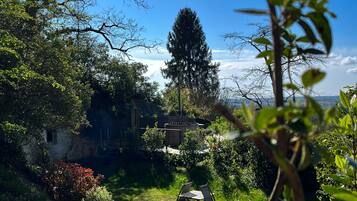 Un jardín con un banco de madera, un muro de piedra y un árbol alto.
