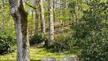 Une zone boisée où sont placées deux chaises en osier sur l’herbe.
