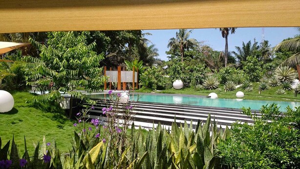 Una piscina rodeada de exuberante follaje y plantas tropicales.