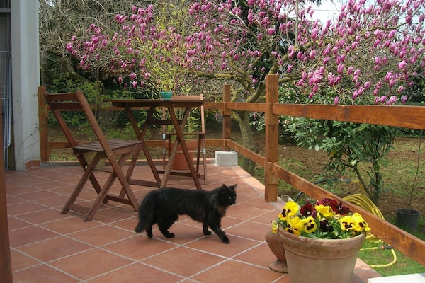 Balcón