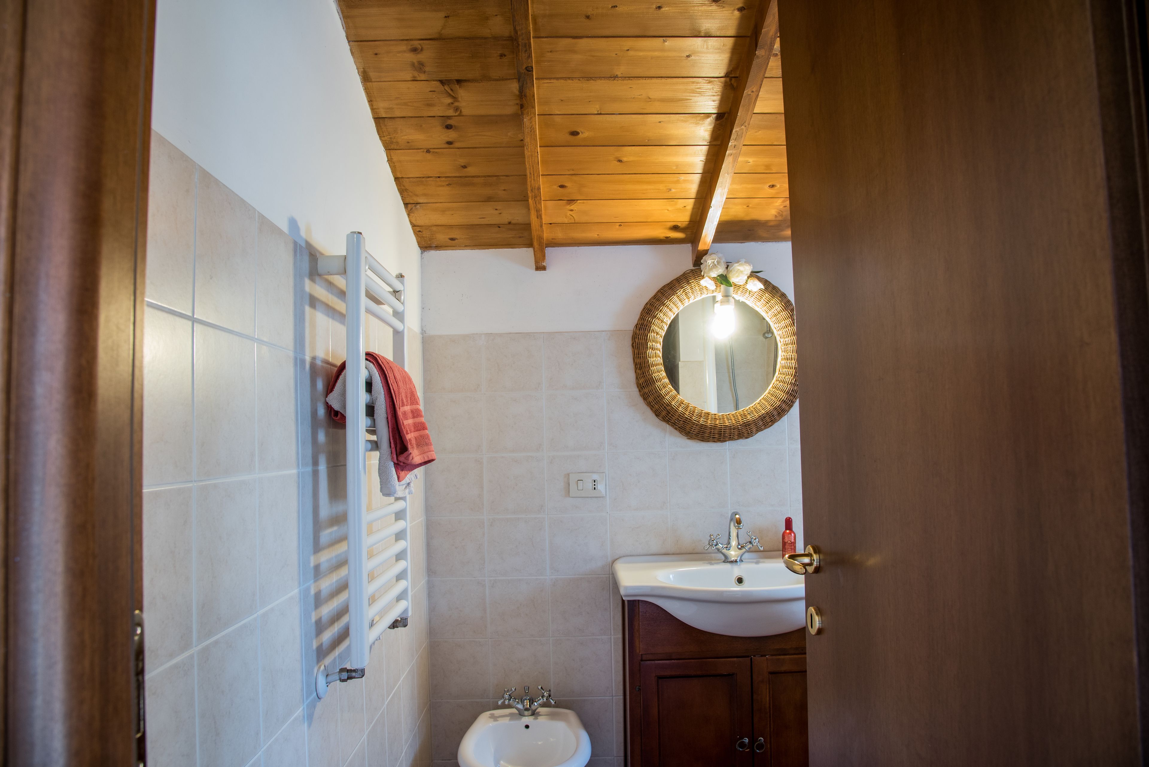 Photo - Olive Tree Hill