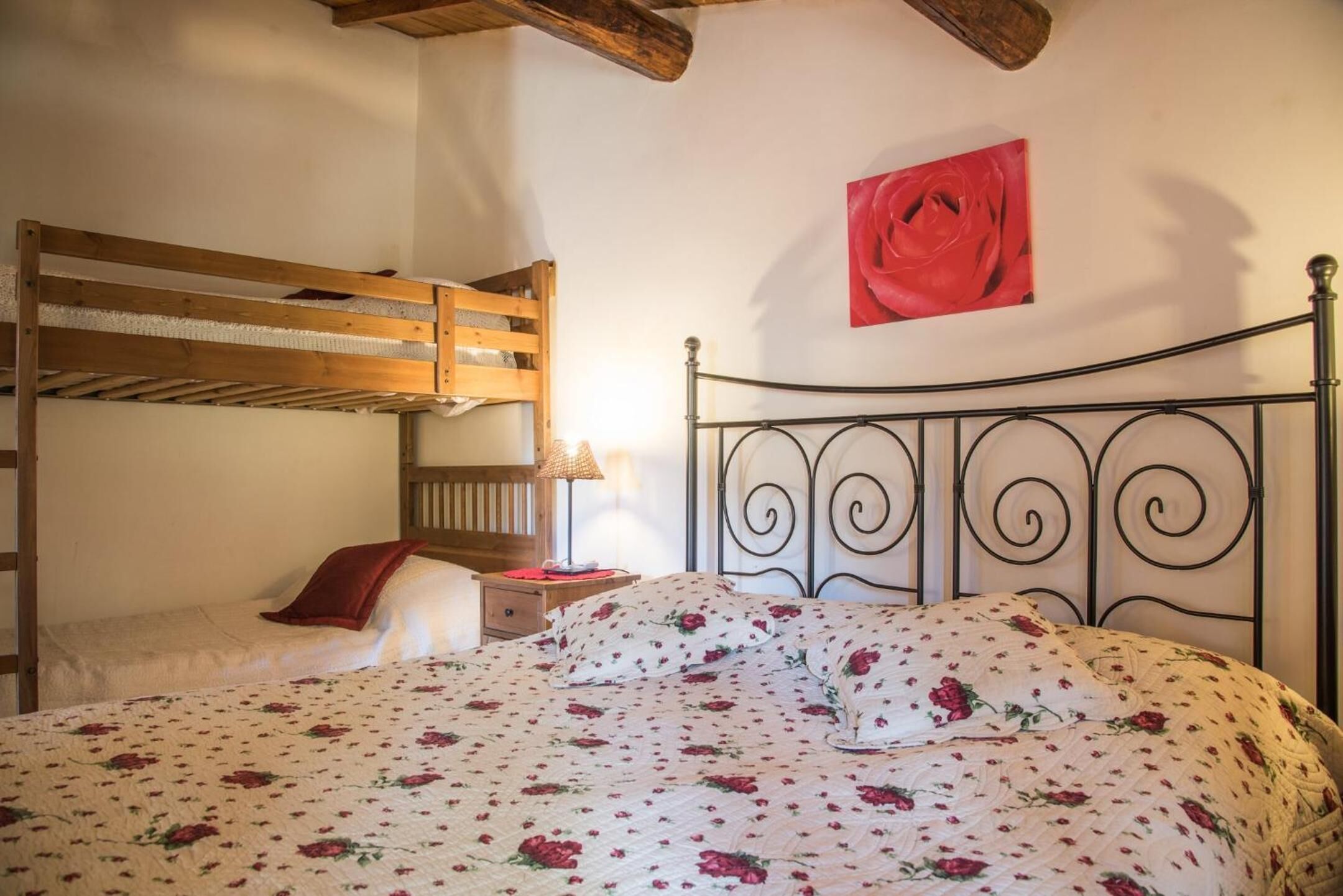 Photo - Olive Tree Hill