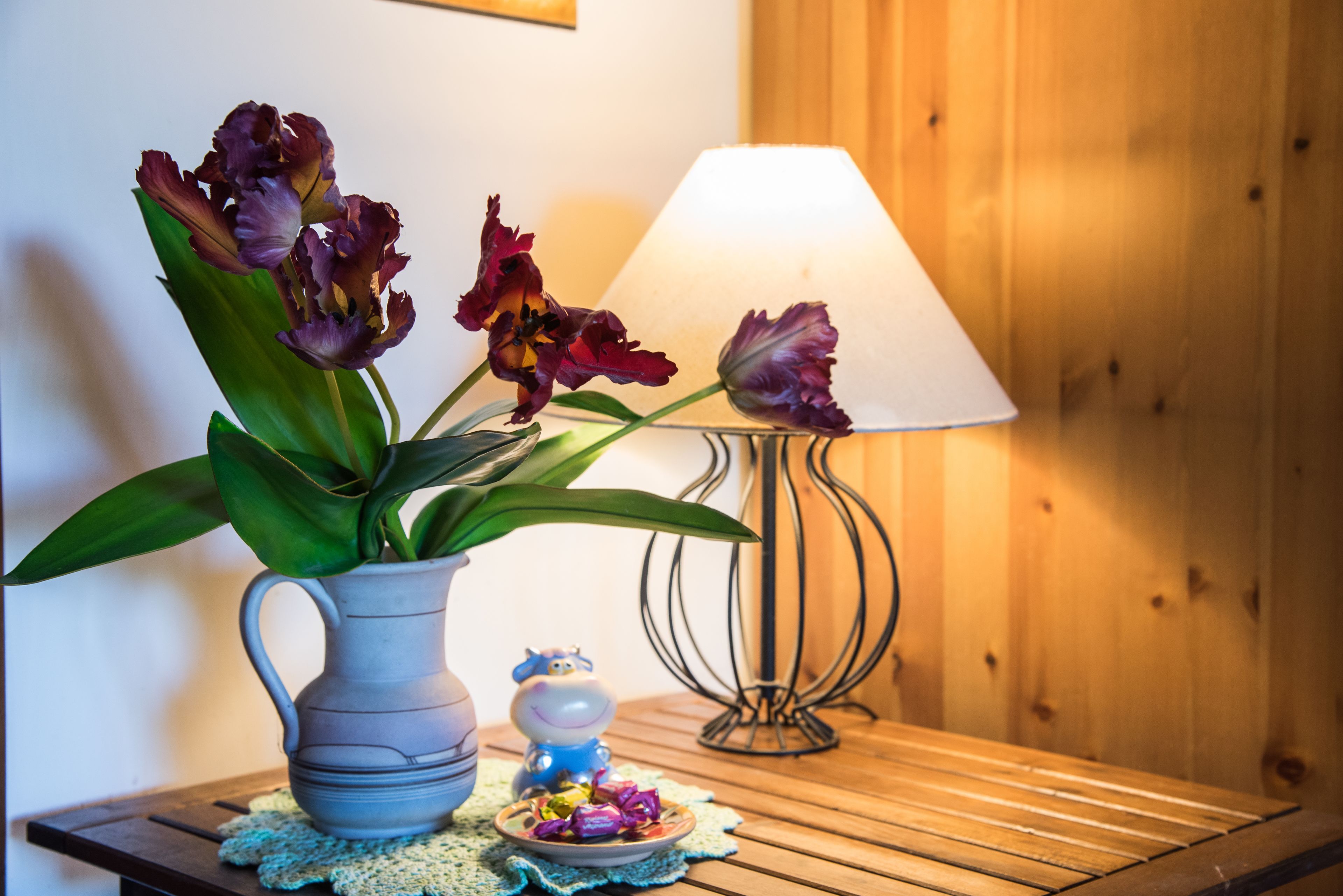 Photo - Olive Tree Hill