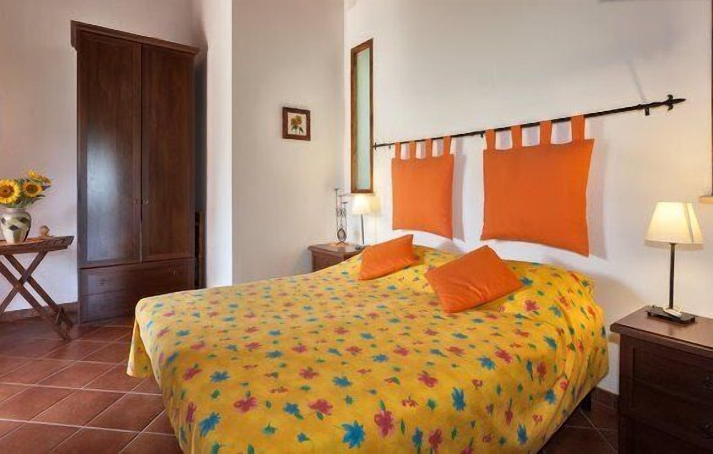 Photo - Olive Tree Hill