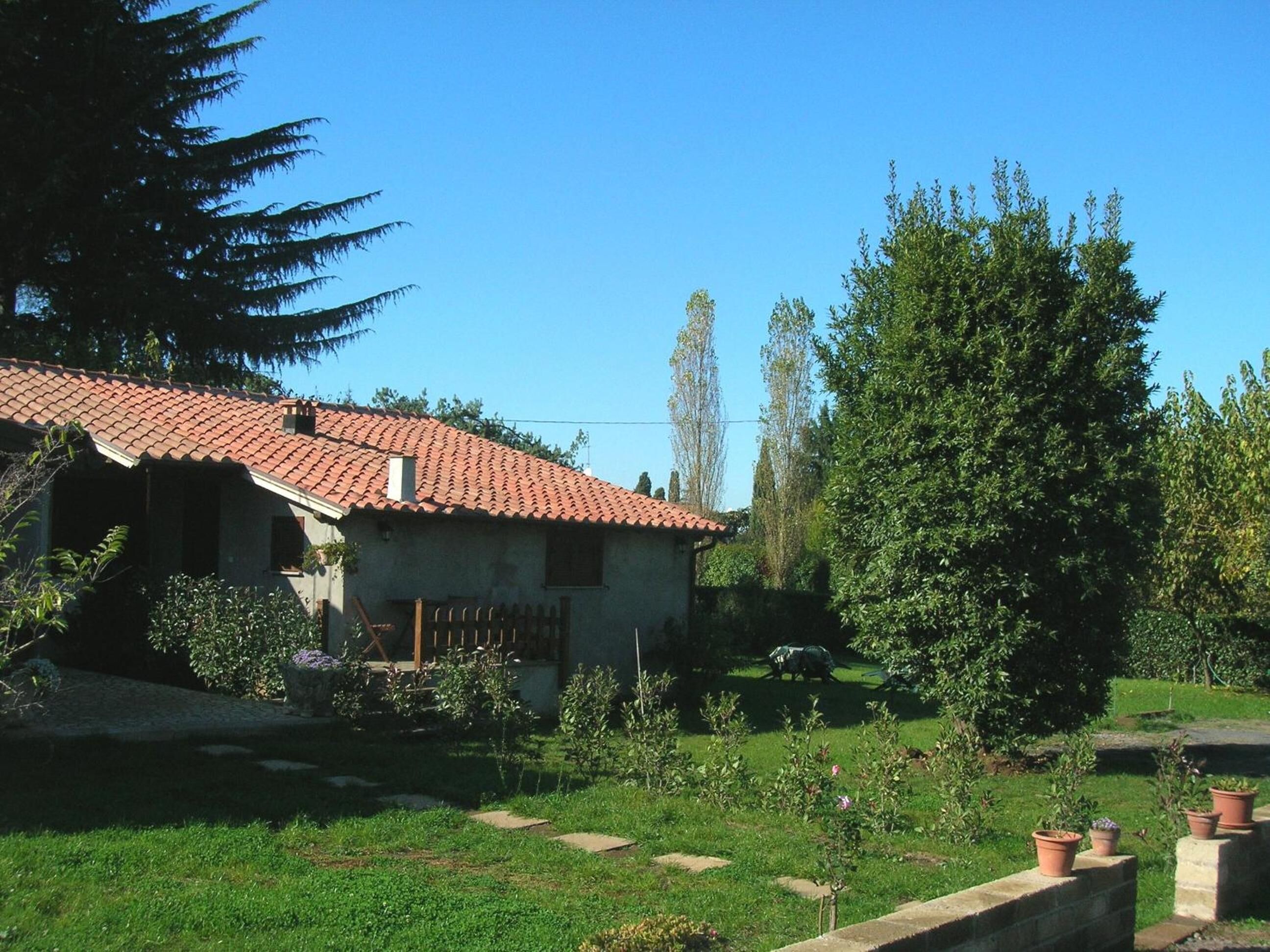 Photo - Olive Tree Hill