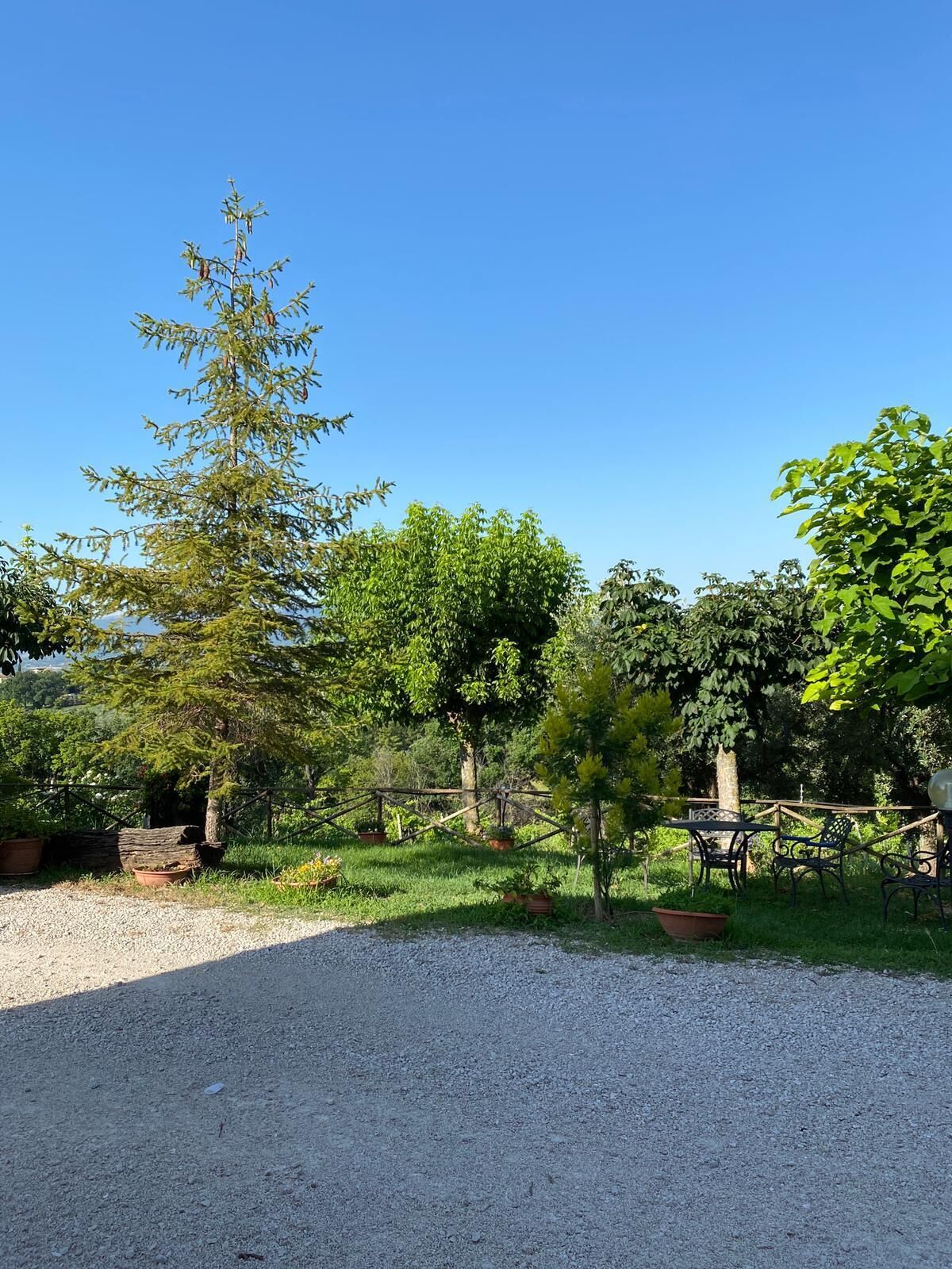 A gravel driveway leading to a fenced garden area with various trees and potted plants.