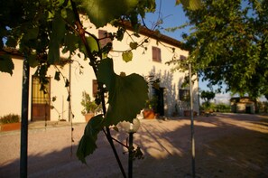 Apartment, 2 Bedrooms | View from room - Residenza Cardinal Girolamo Di Moncelli (Montefalco)