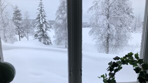 家庭小屋, 2 间卧室, 湖景, 湖畔 | 客房景观