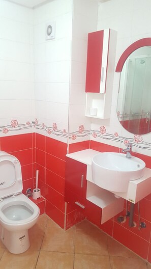 A bathroom with a toilet, sink, and mirror.