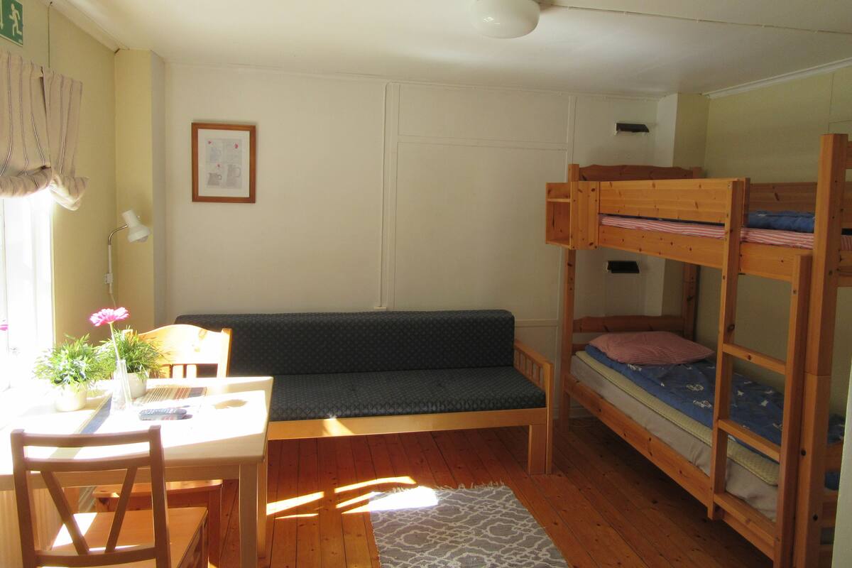 Habitación tipo dormitorio con literas, un escritorio con silla, un sofá, una mesita y una planta en maceta.