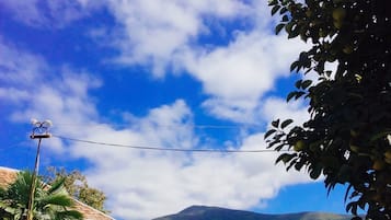 Economy Double Room | In-room safe, desk, iron/ironing board, free WiFi