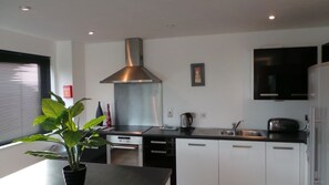 Loftsleilighet – executive, 2 soverom, terrasse, byutsikt | Eget kjøkken | Kjøleskap og mikrobølgeovn