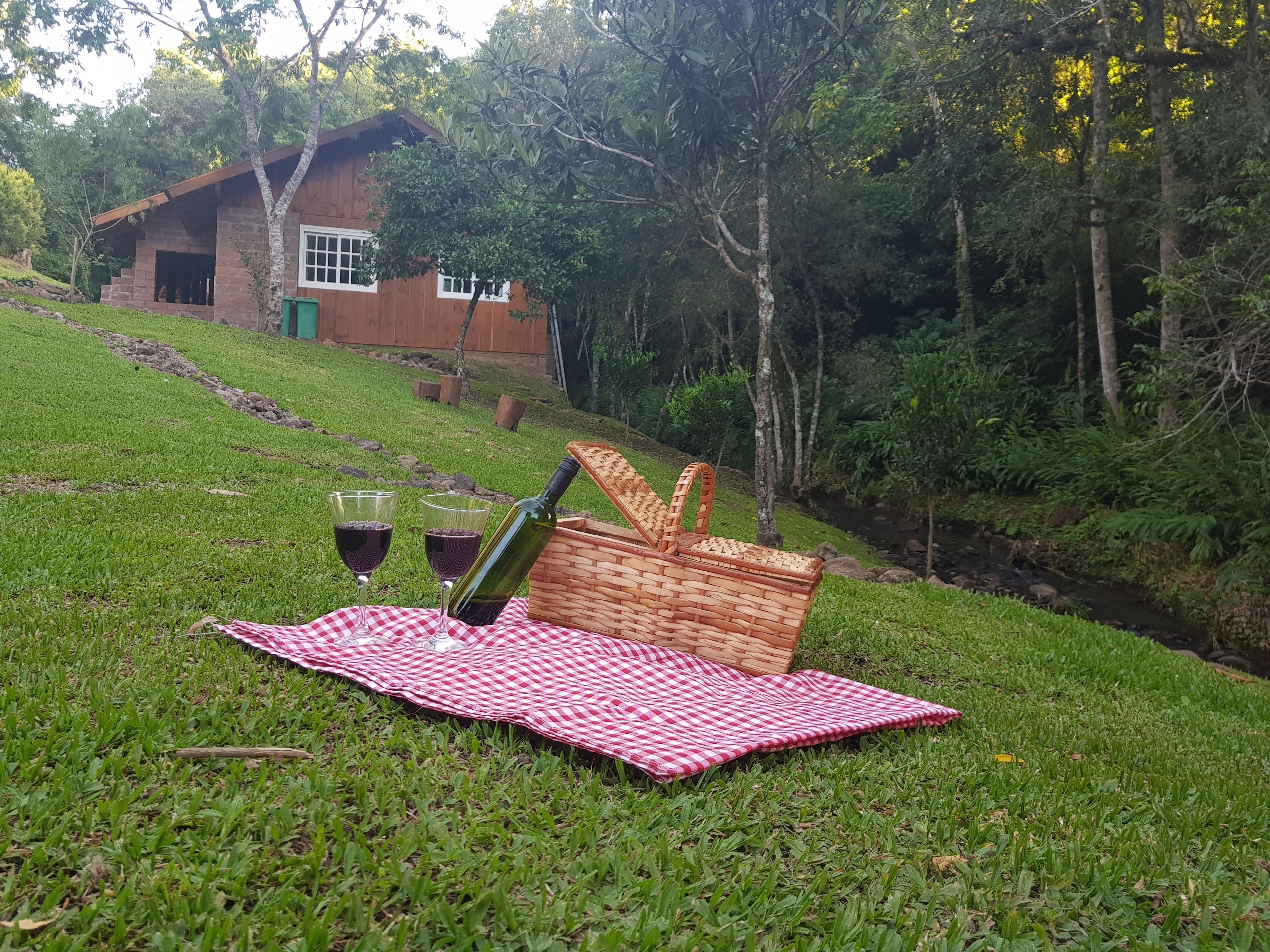 A picnic setup with a checkered blanket, wine glasses, and a bottle on a grassy area near a wooden house and a stream.