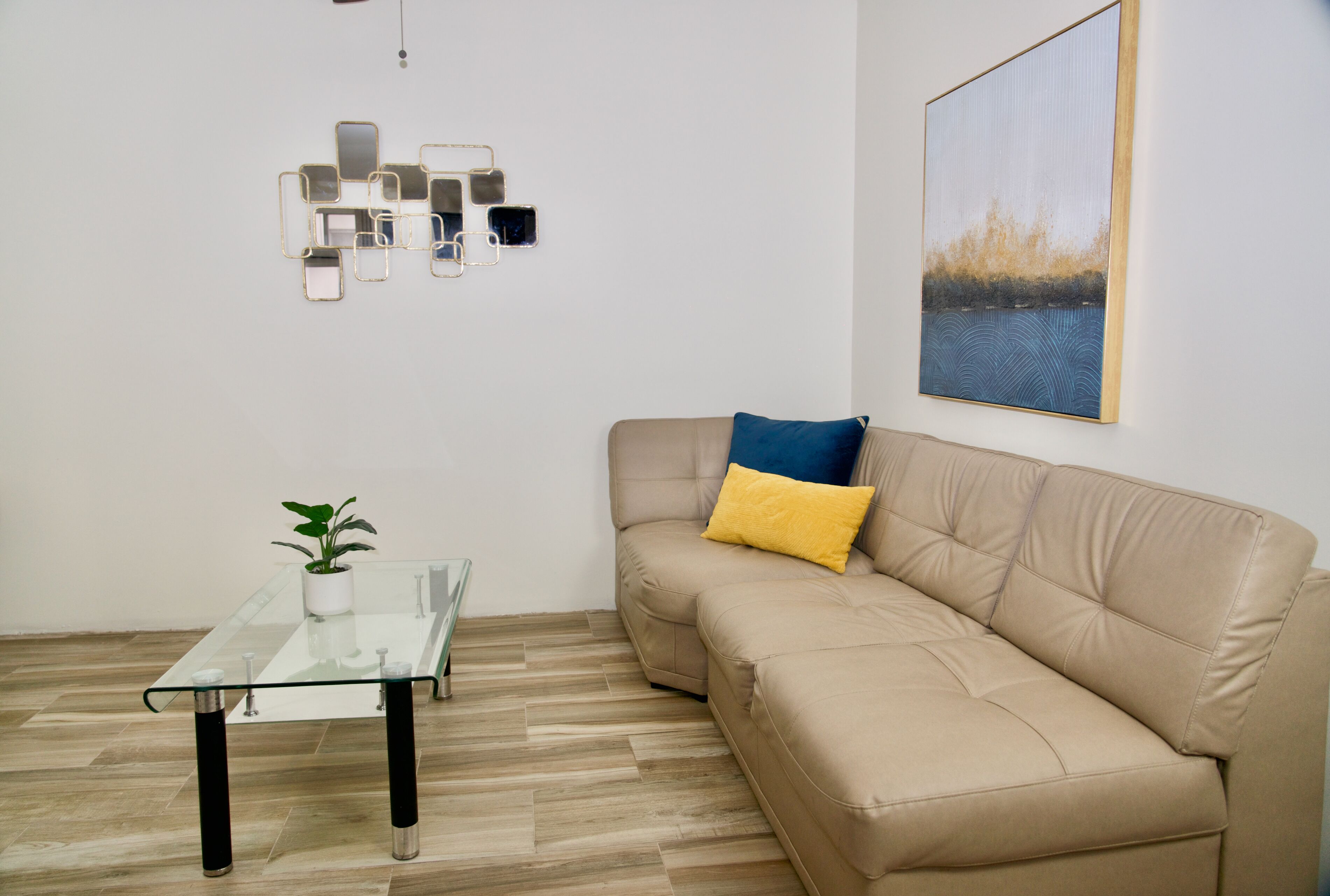 flat-screen tv, netflix