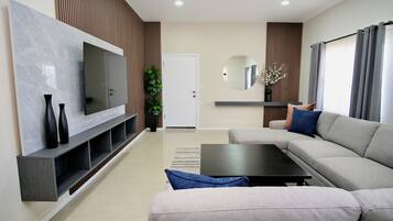 Televisión de pantalla plana, Netflix