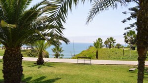 Un parque con palmeras, un banco y vista al océano.