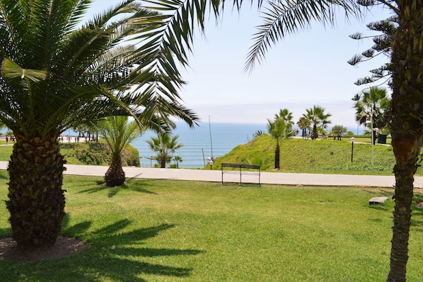 A park with palm trees, a bench, and a view of the ocean.