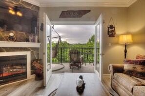 Smart TV, fireplace, DVD player, books