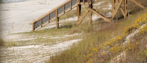 Camastros y toallas de playa