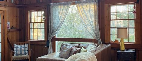 TV, fireplace, DVD player, books