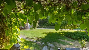 A garden with a stone pathway, a frog statue, and a bench. - On Silver Lake Close To Woodstock (Barnard)
