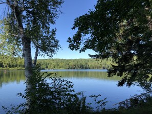 Een vredig meer, omringd door dicht bos en een heldere blauwe lucht.