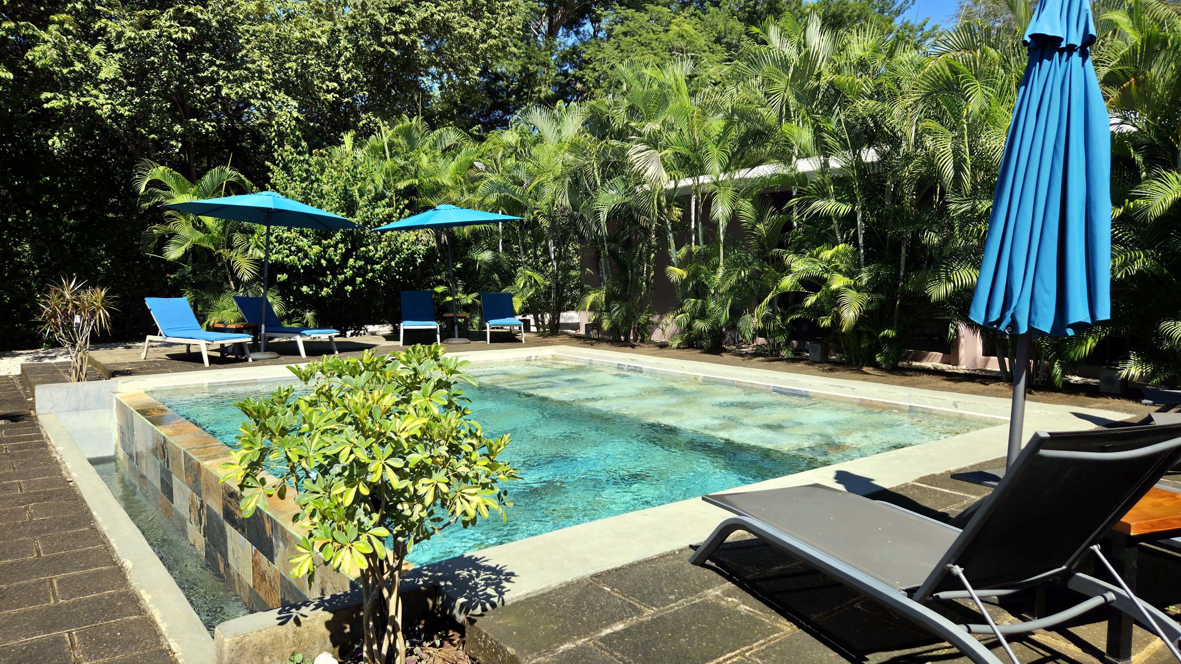 A rectangular swimming pool with clear water, surrounded by lounge chairs and blue umbrellas.