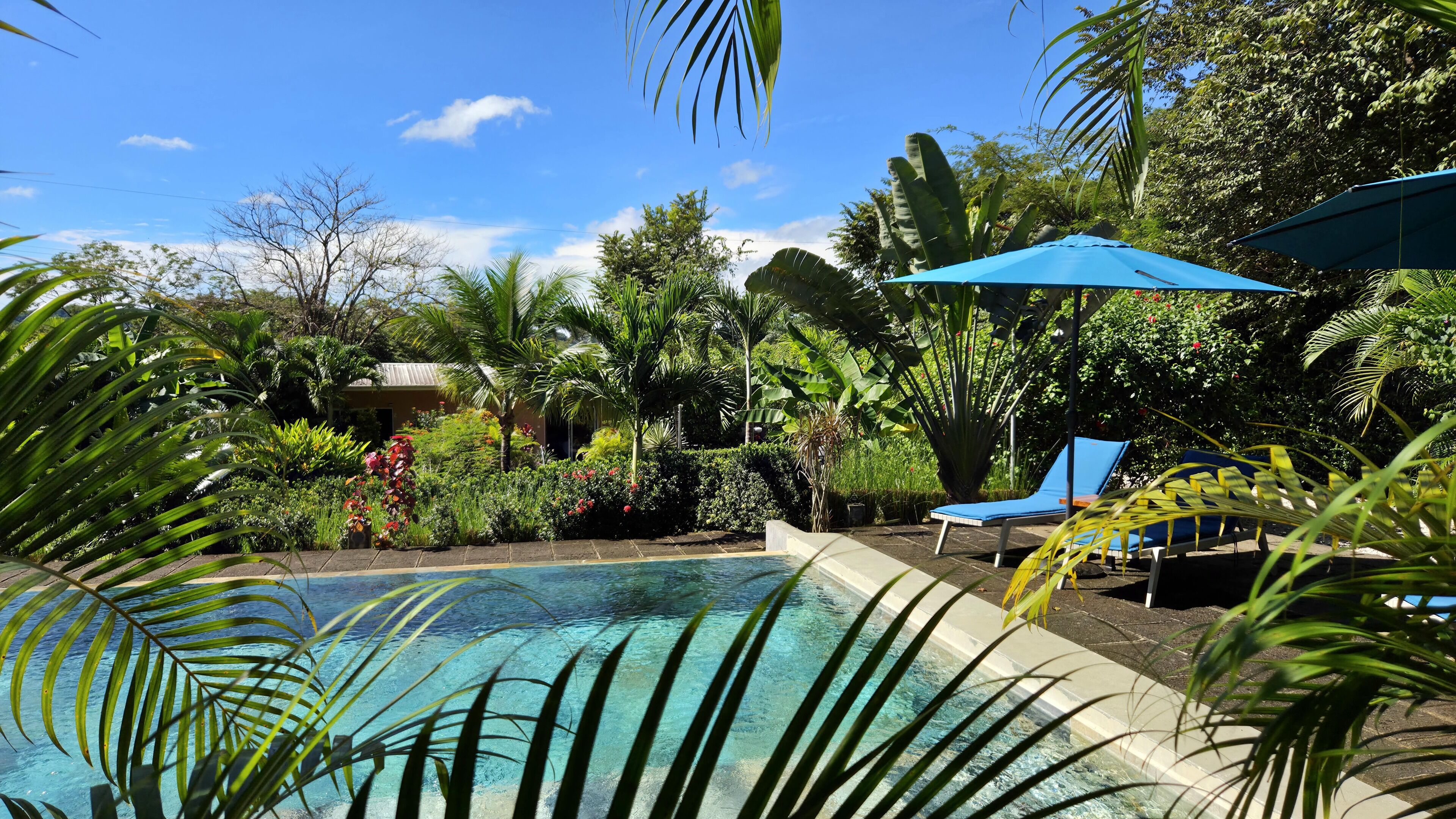 Outdoor pool, an infinity pool