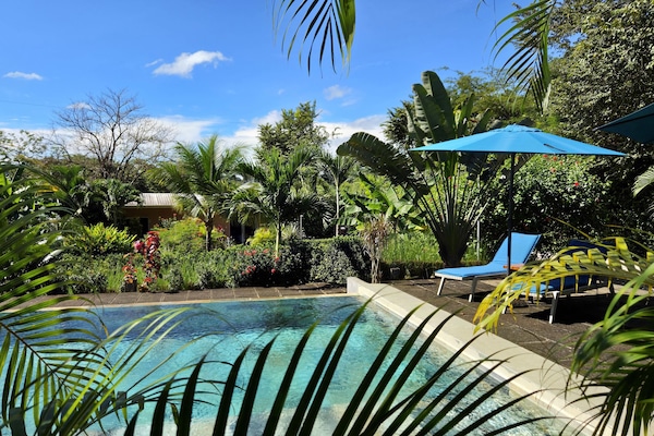 Piscina all'aperto, una piscina a sfioro