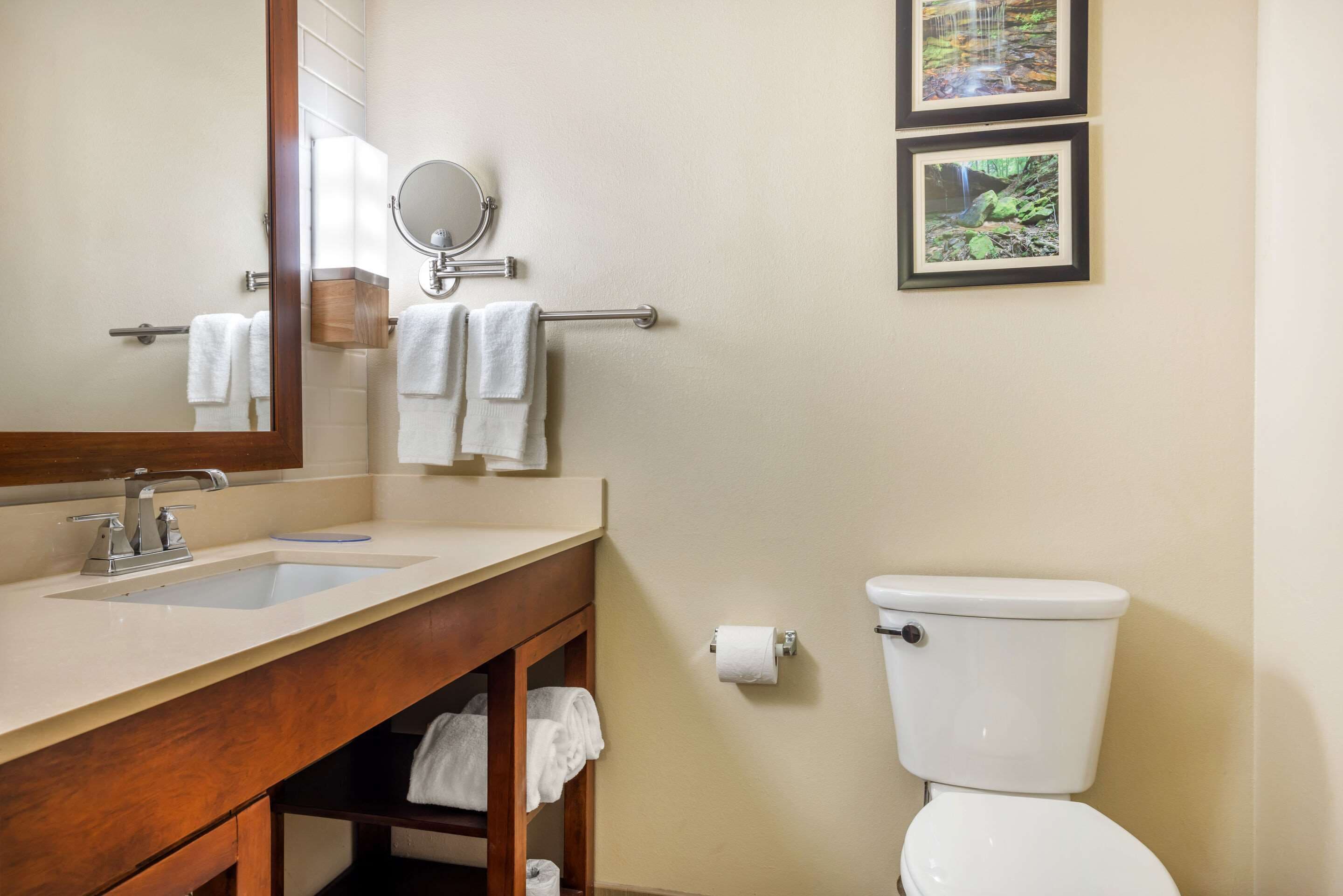 standard room, 1 king bed, non smoking | 1 bedroom, desk, laptop workspace, blackout curtains